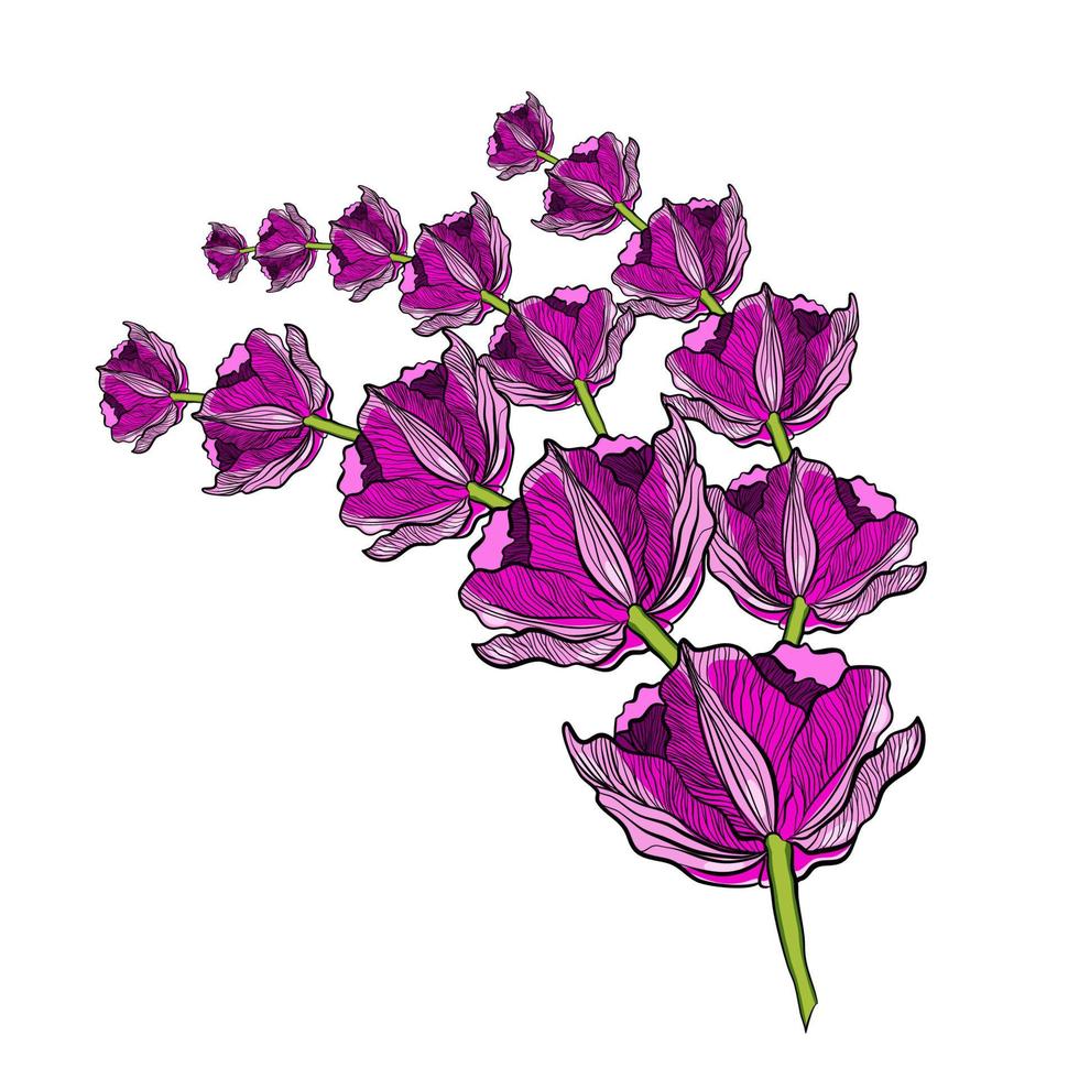 ramo de flores rosas vector