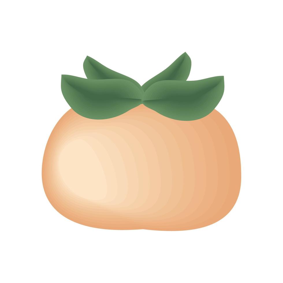 orange fruit icon vector