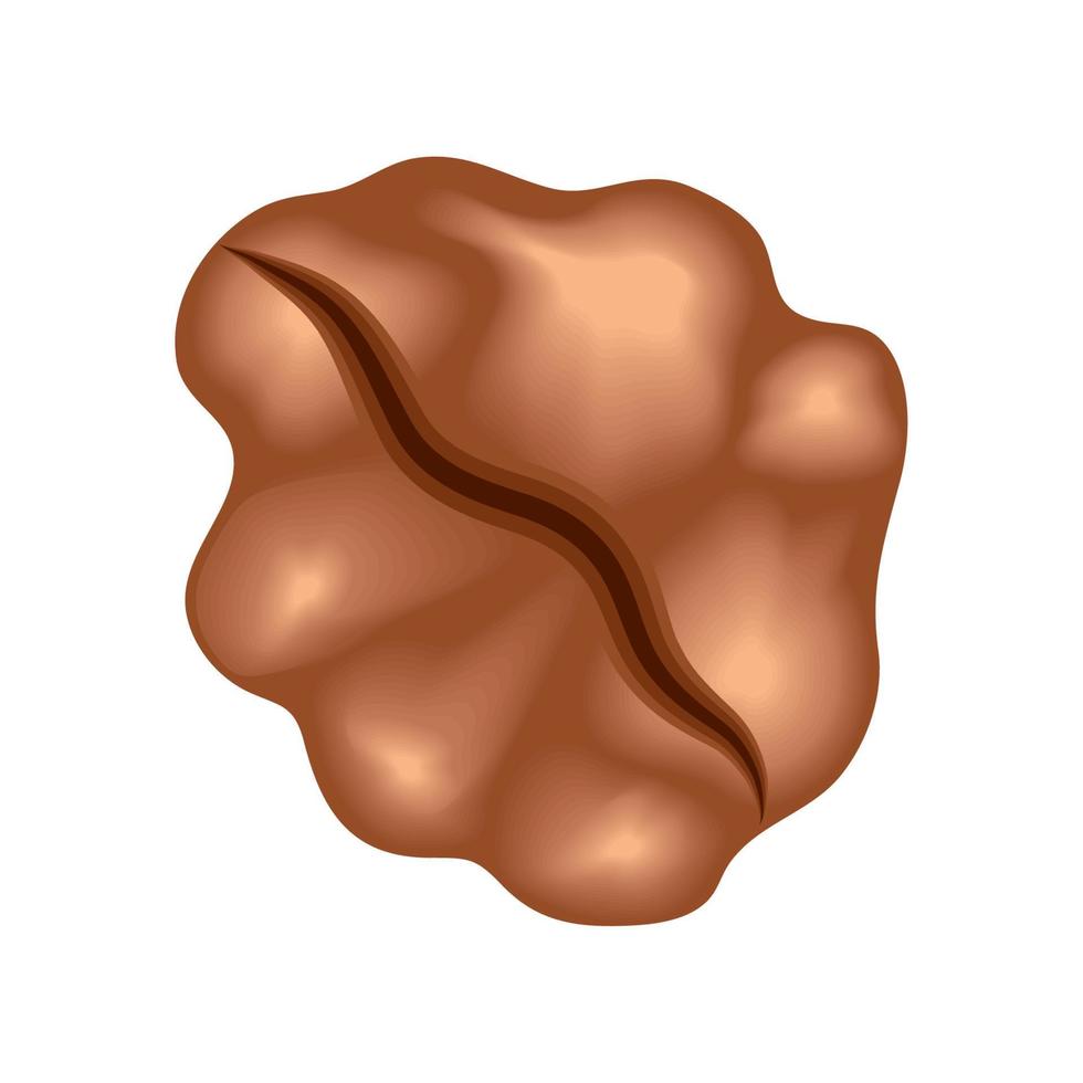 walnut isolated icon vector
