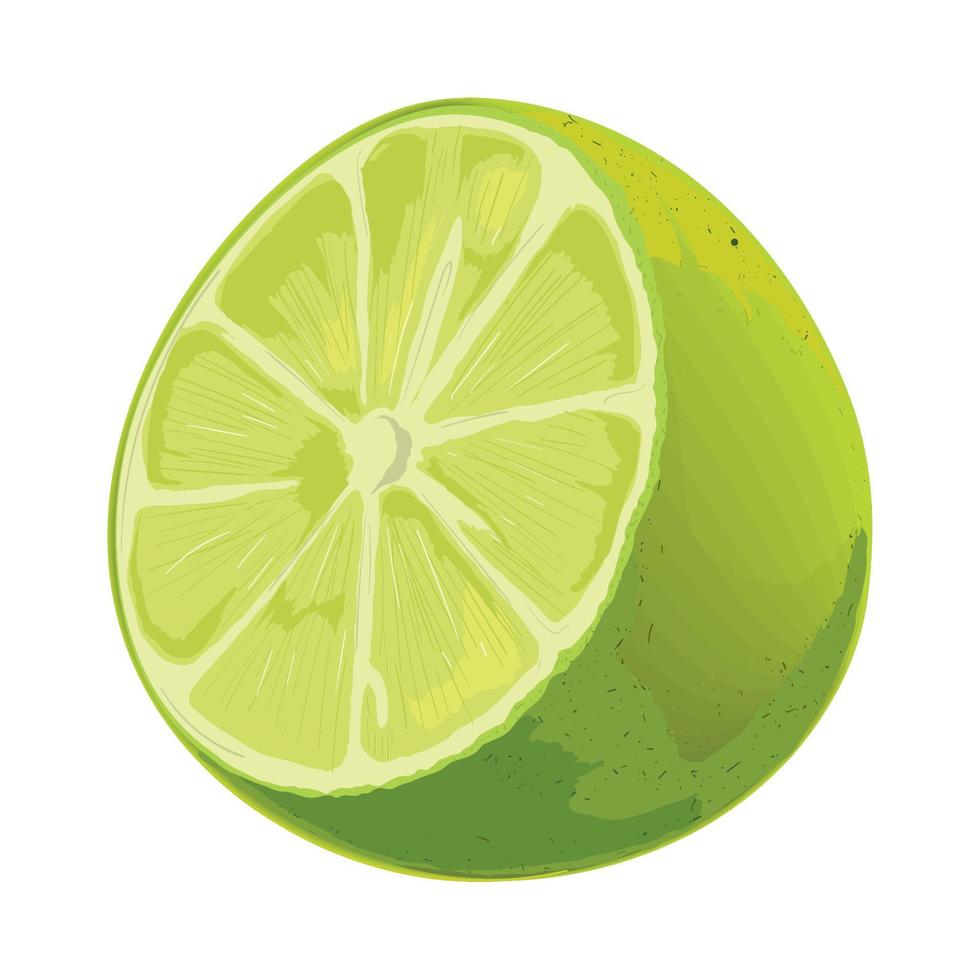 slice lemon fruit realistic vector