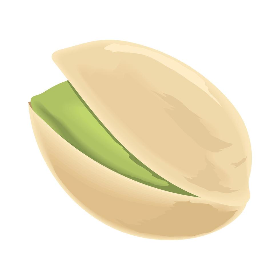 icono de pistacho aislado vector