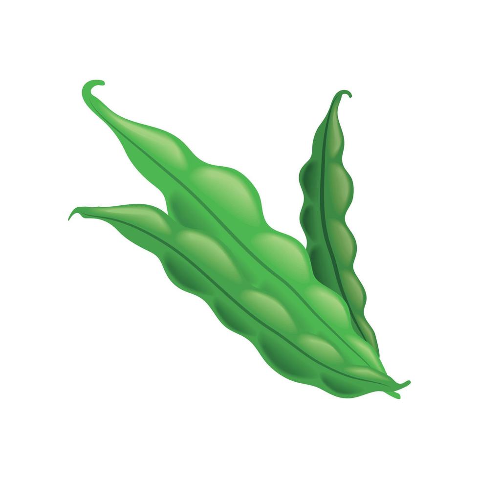 realistic vegetable peas vector