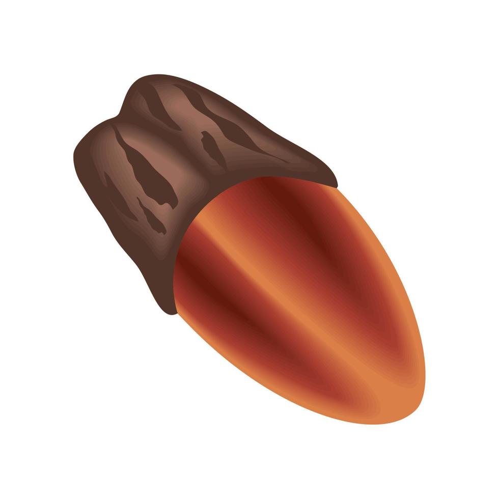 nut on white background vector
