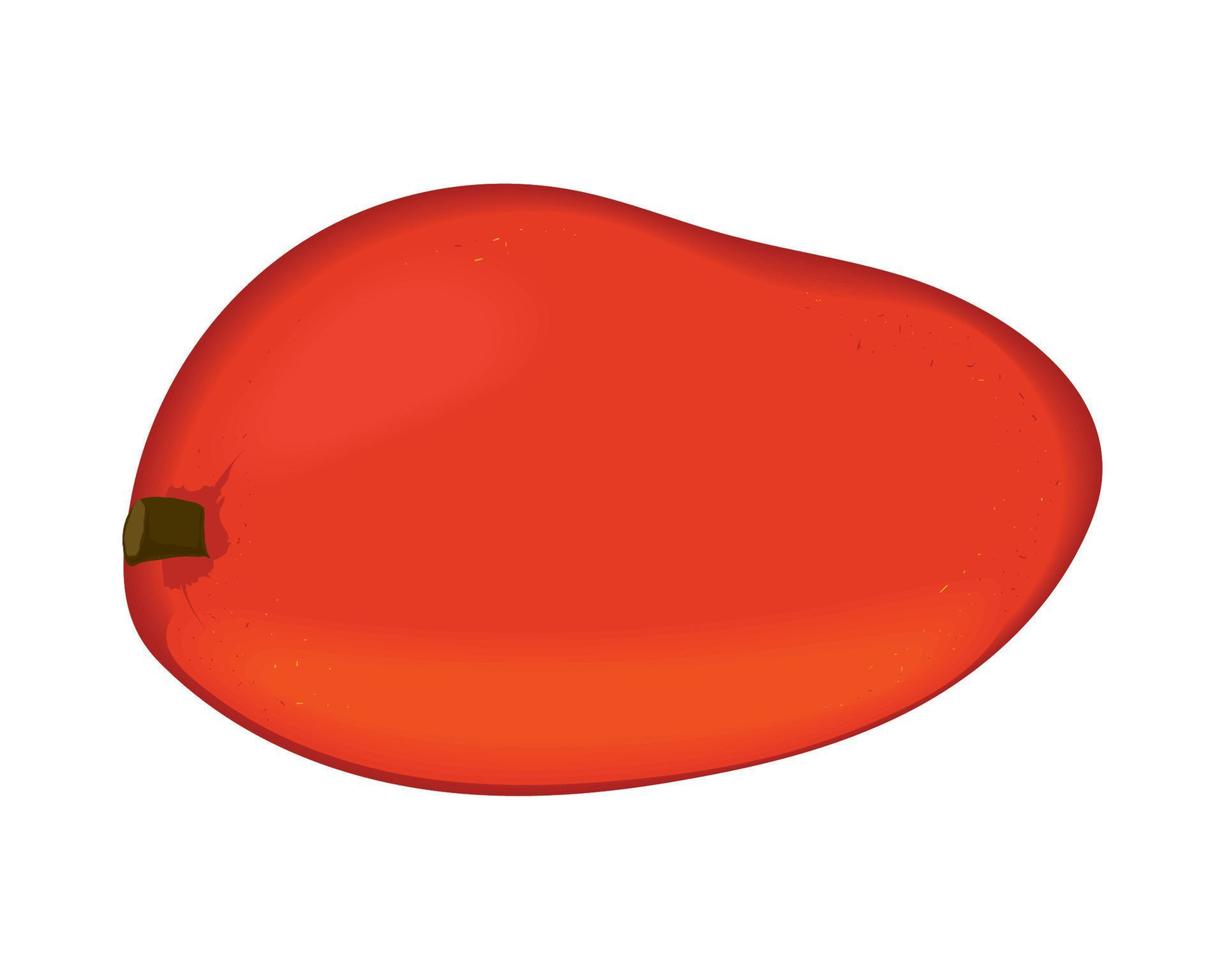 mango fruit realistic vector