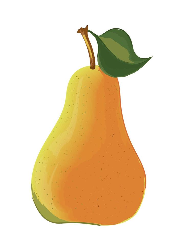 pear fruit realistic vector