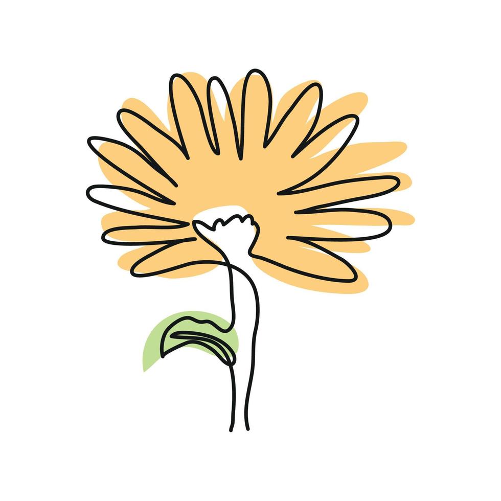 continuous line flower vector