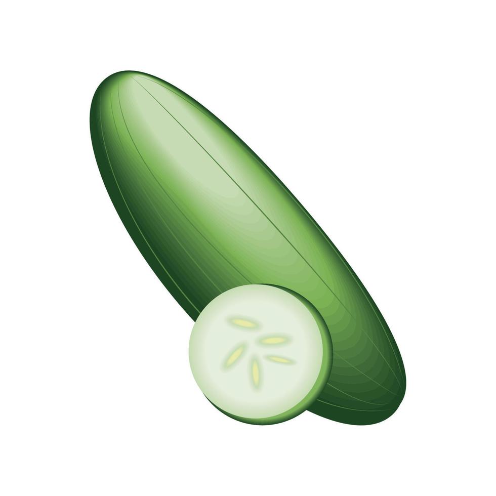 realistic vegetable cucumber vector