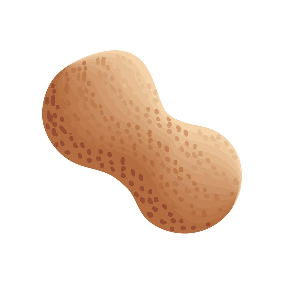 peanut isolated icon vector