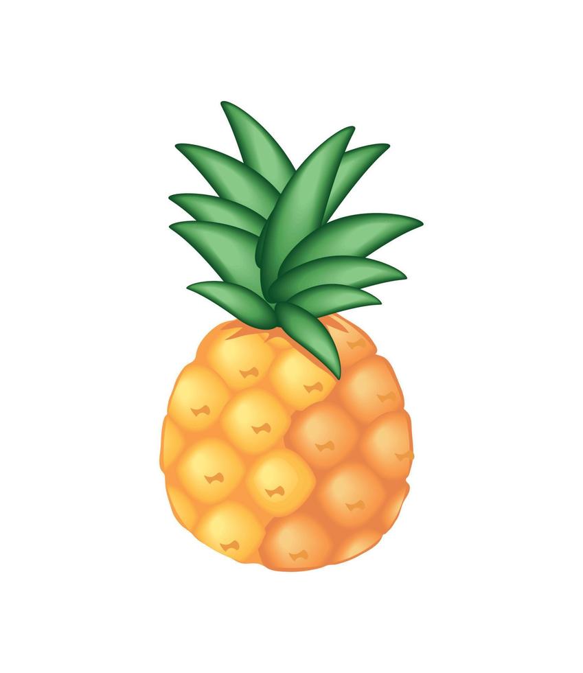 realistic fruit pineapple vector