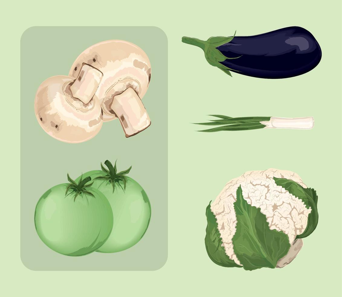 icons vegetables food vector