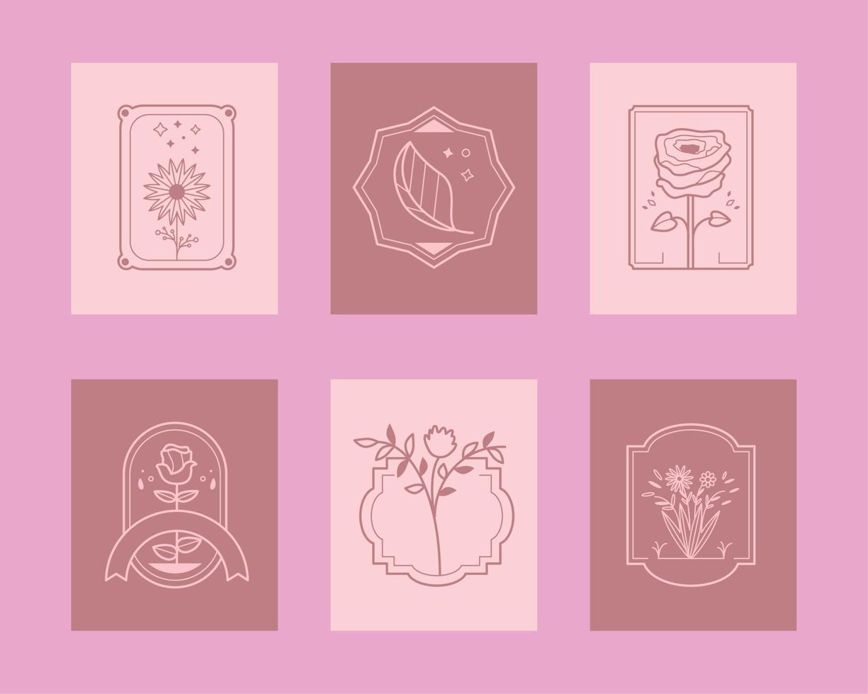 icons beauty flora vector