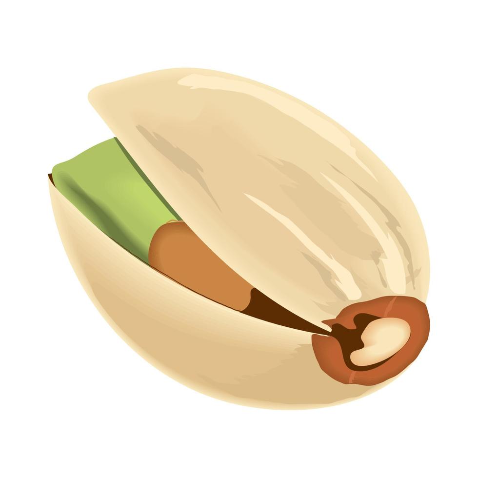 icono de pistacho plano vector