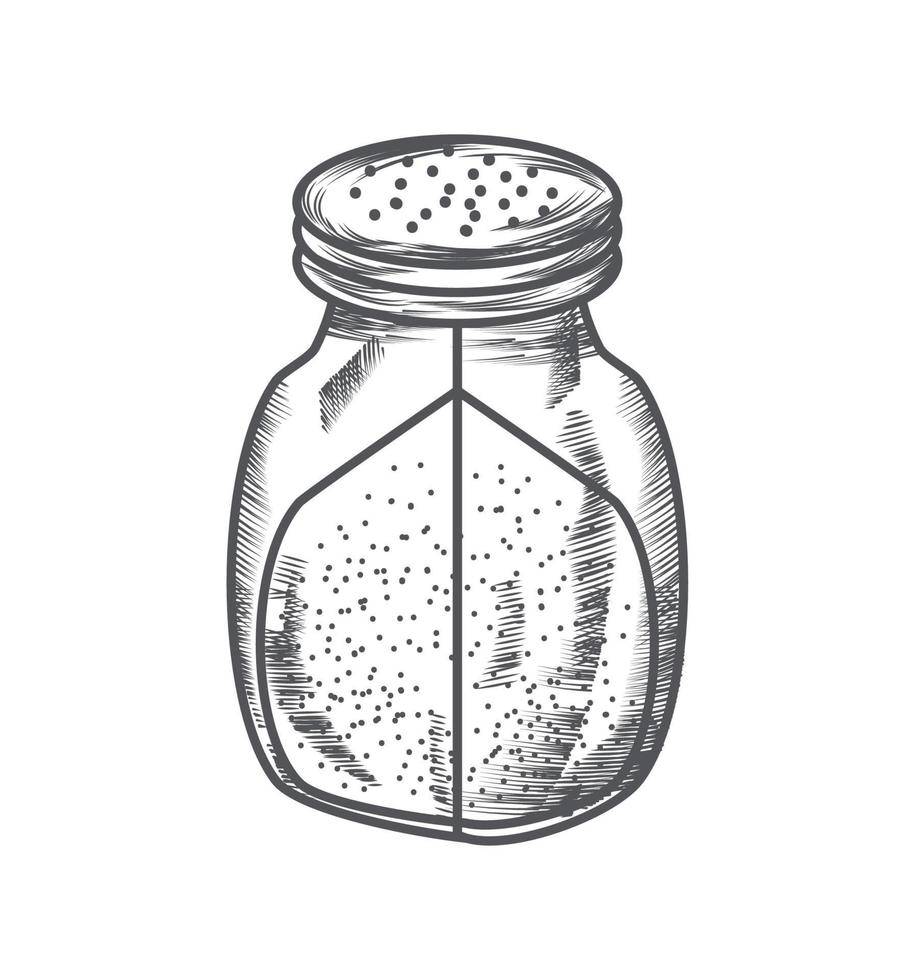 salt shaker kitchen vector