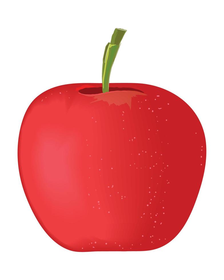 manzana fruta realista vector