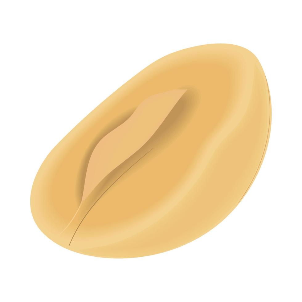 macadamia nut icon vector