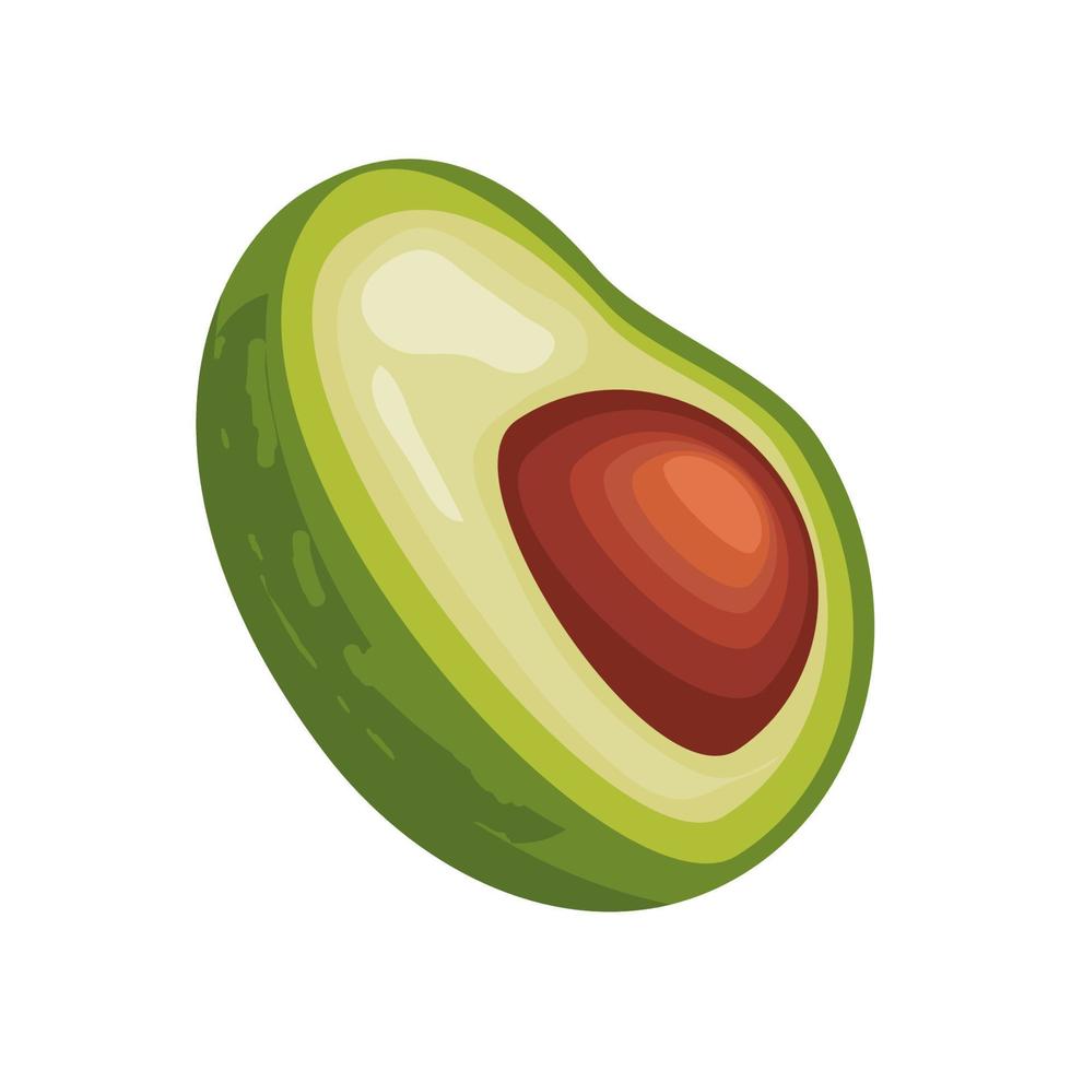 slice avocado icon vector