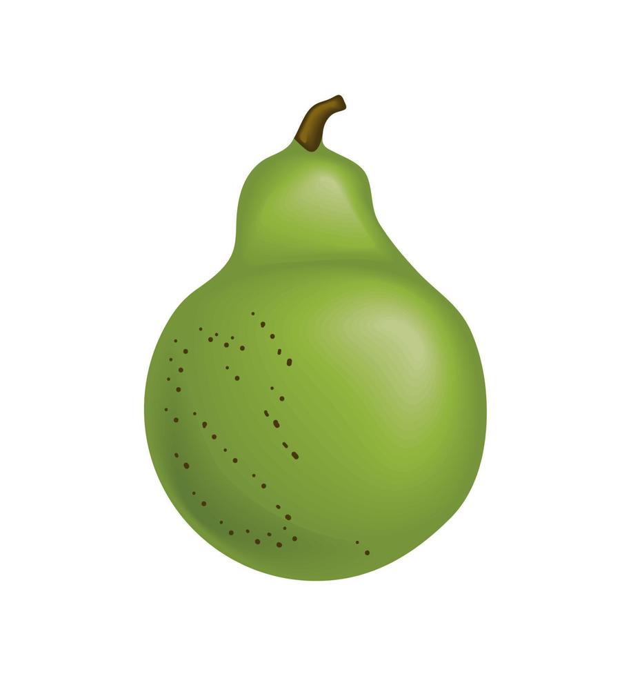 realistic fruit pear vector