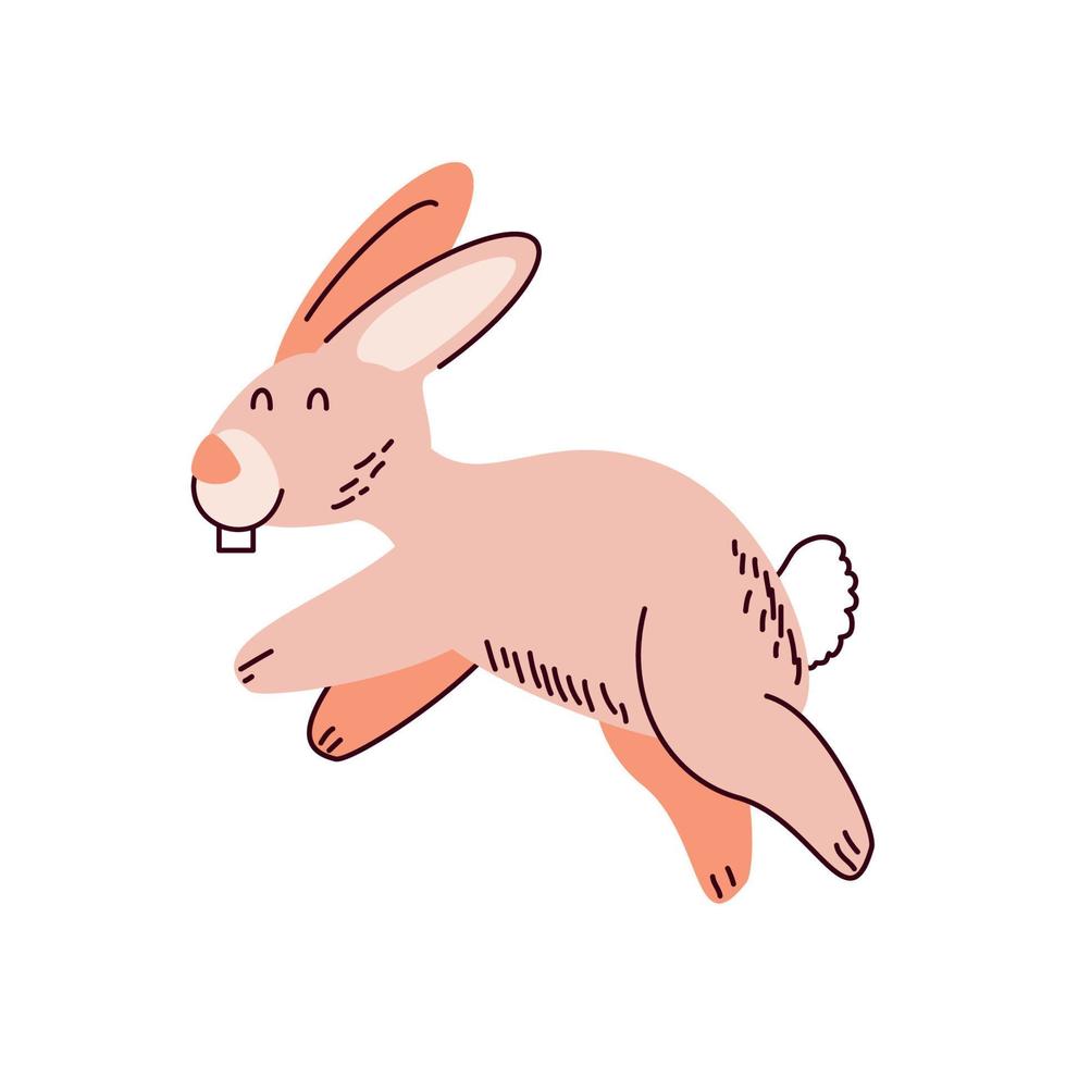 cute rabbit animal vector