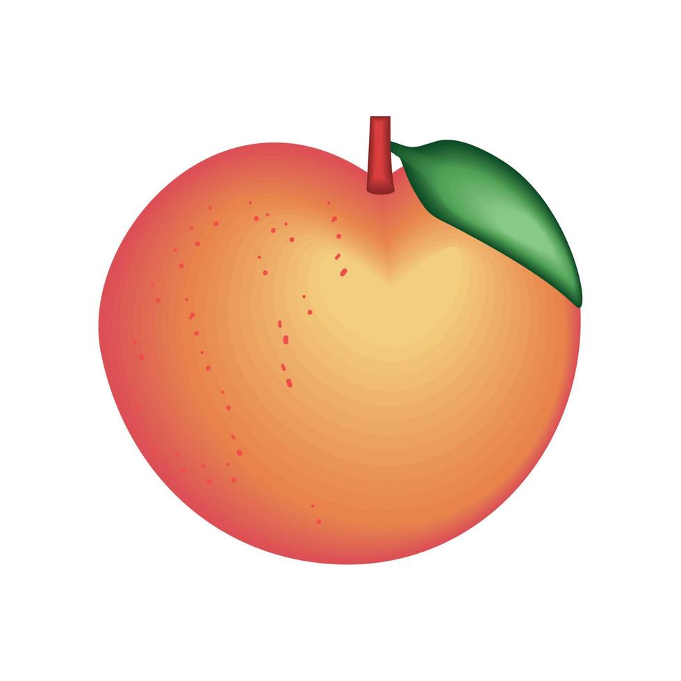realistic fruit peach vector
