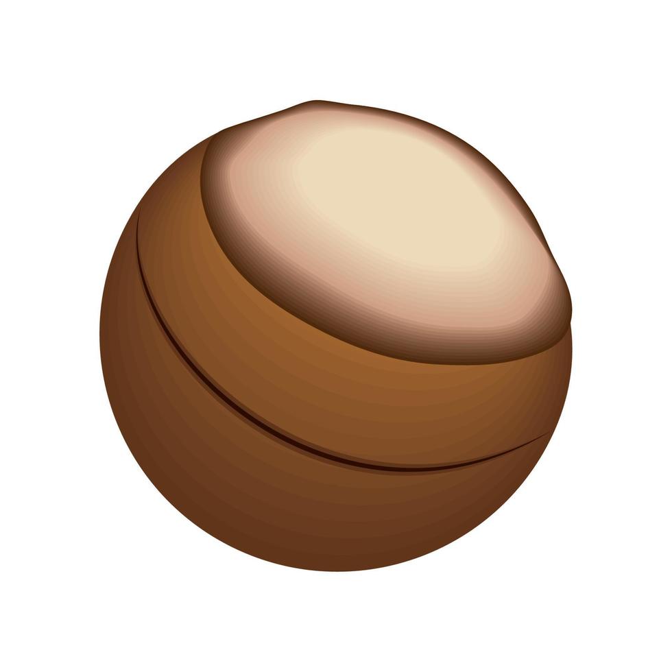 chestnut isolated icon vector