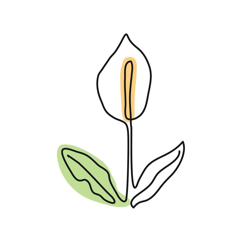 one line white flower vector