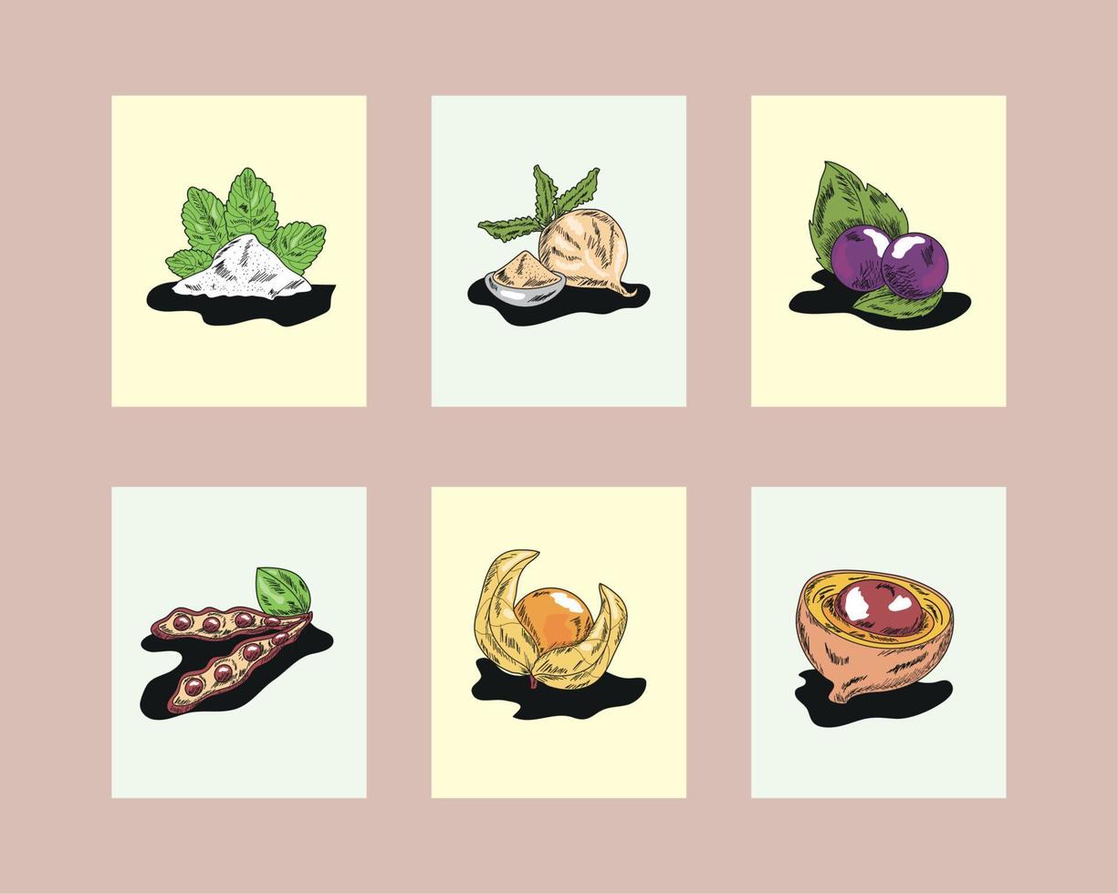 set of superfoods vector