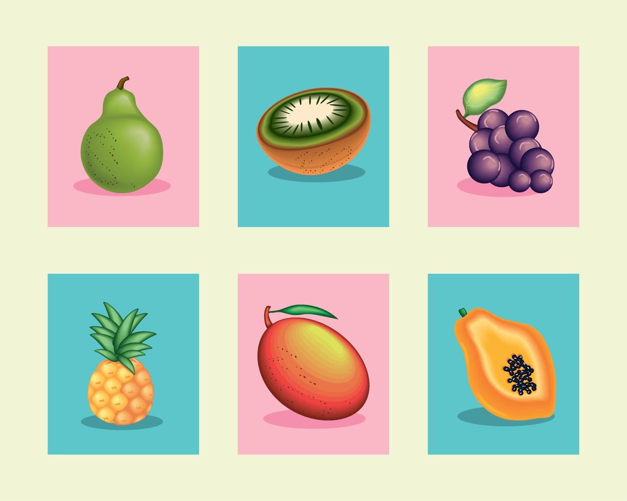 set of realistic fruits vector