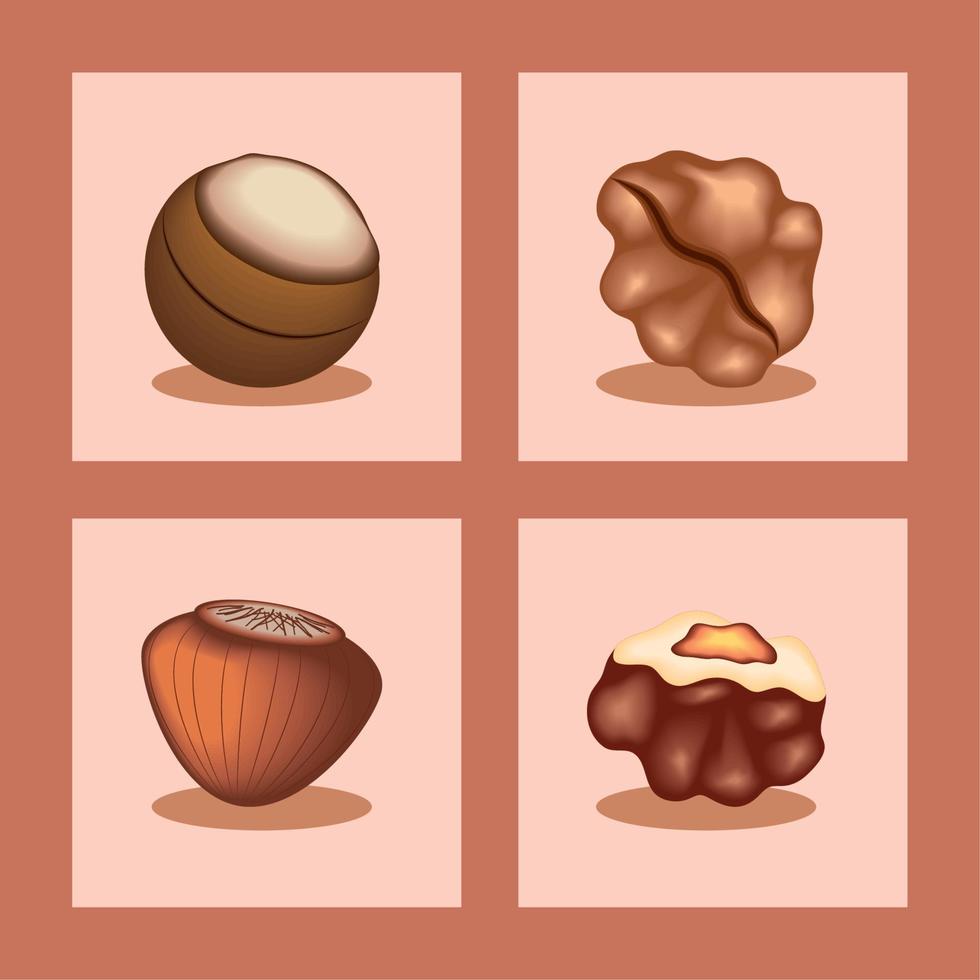 icon set of nuts vector