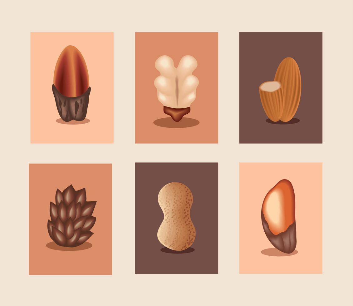 set different nuts vector