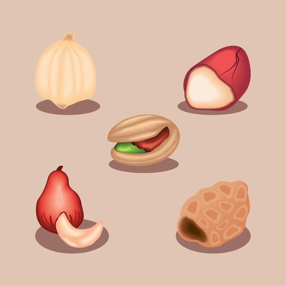 colección de iconos de nueces vector