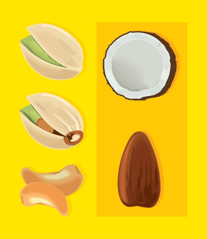 nuts and beans, icon set vector