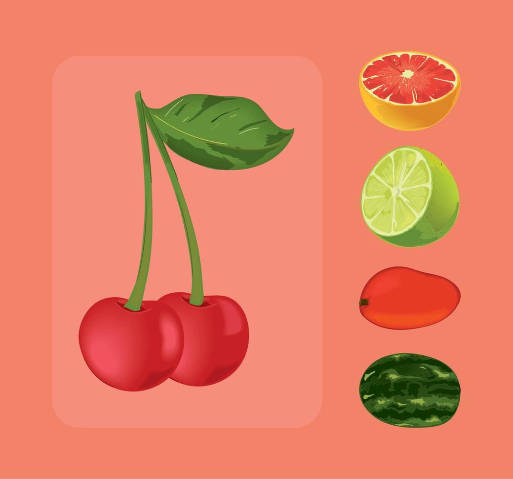 set of fruits realistic vector