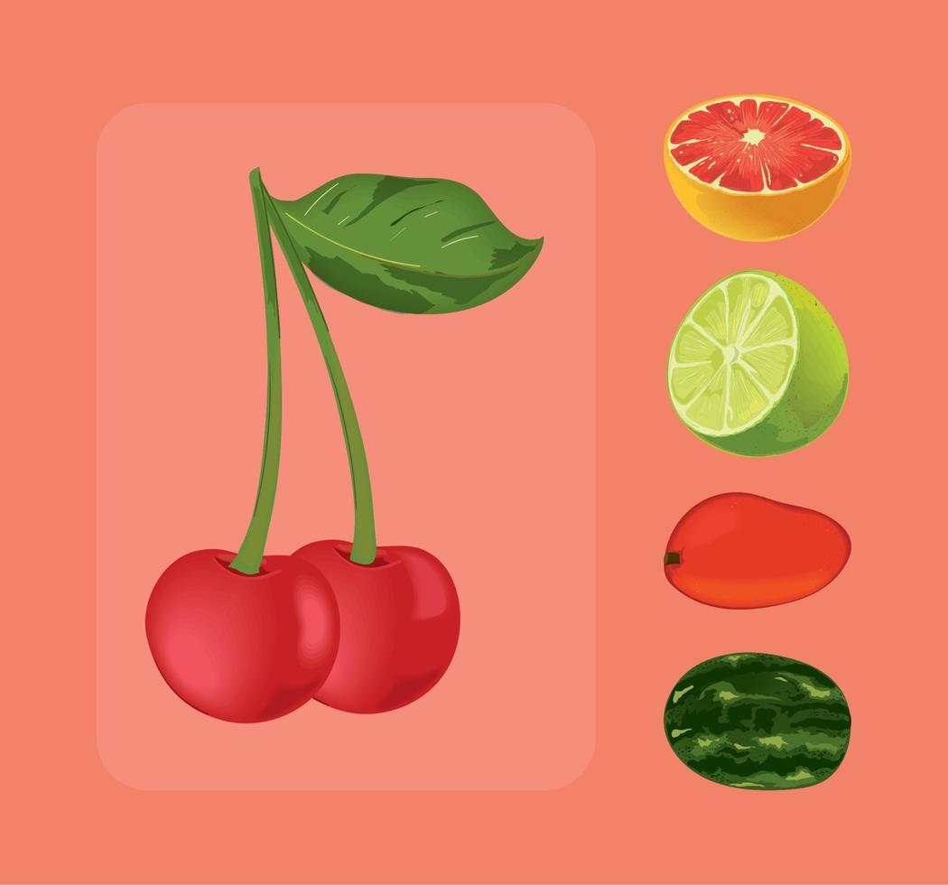 set of fruits realistic vector