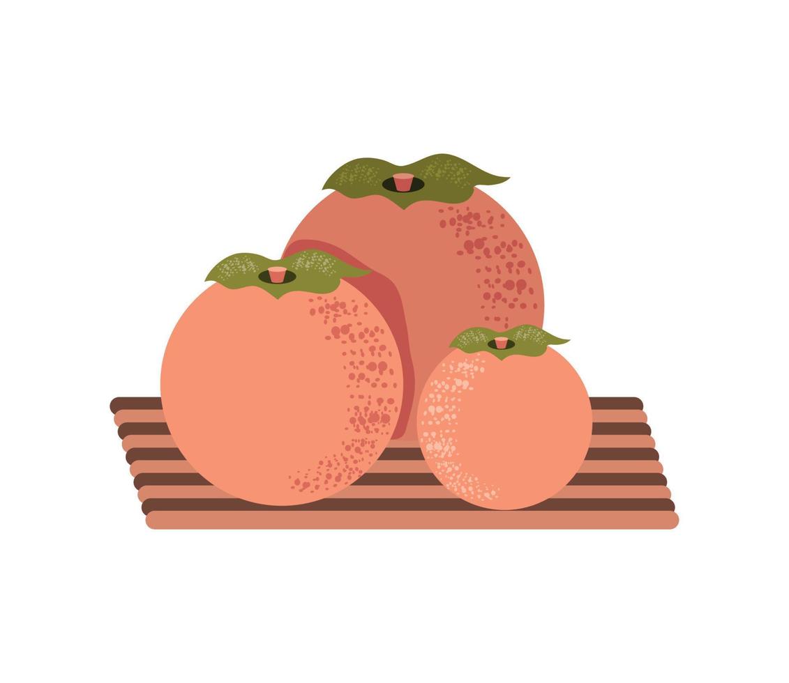 persimmon fruit icon vector