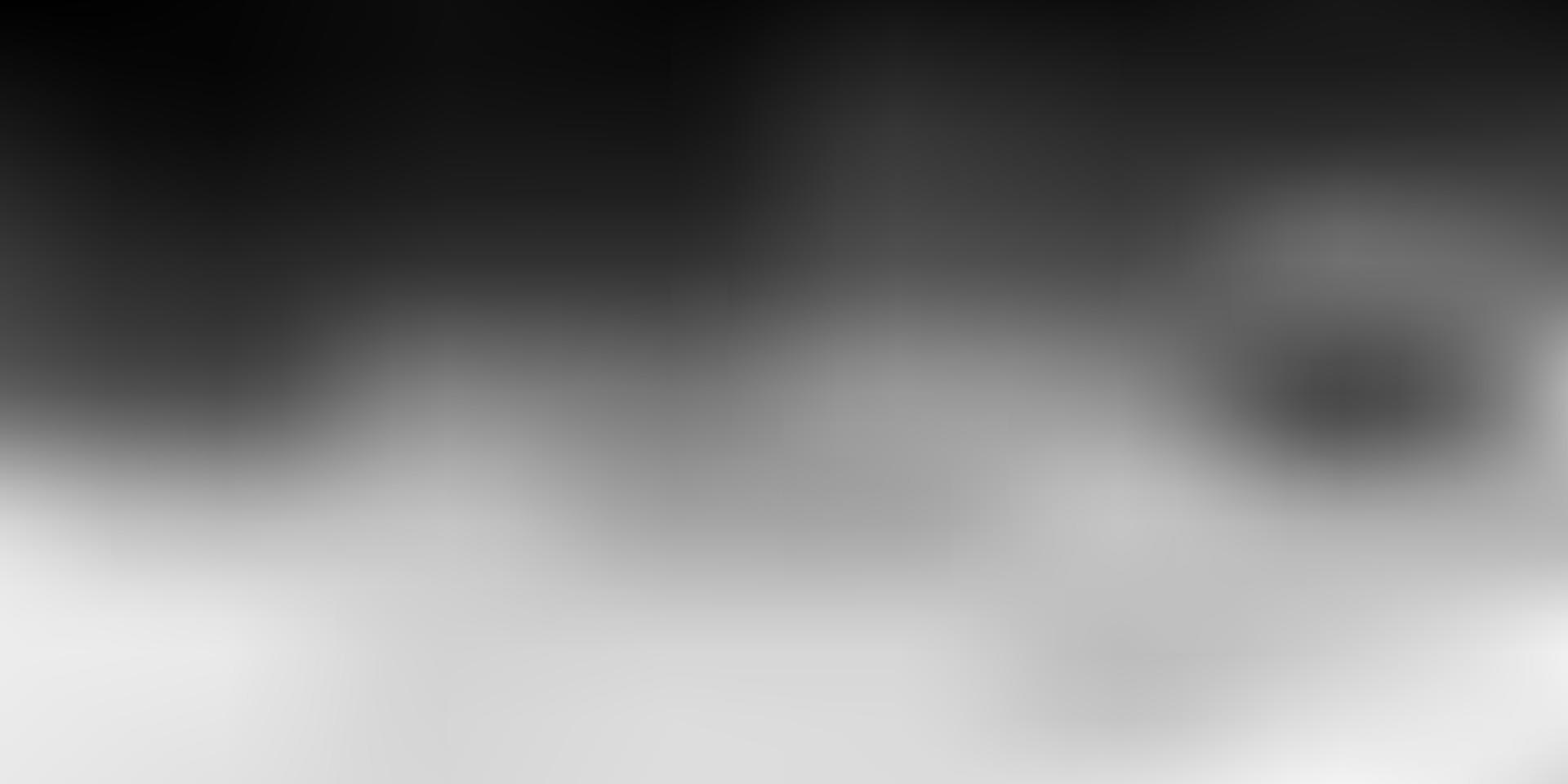 Light gray vector blur background.