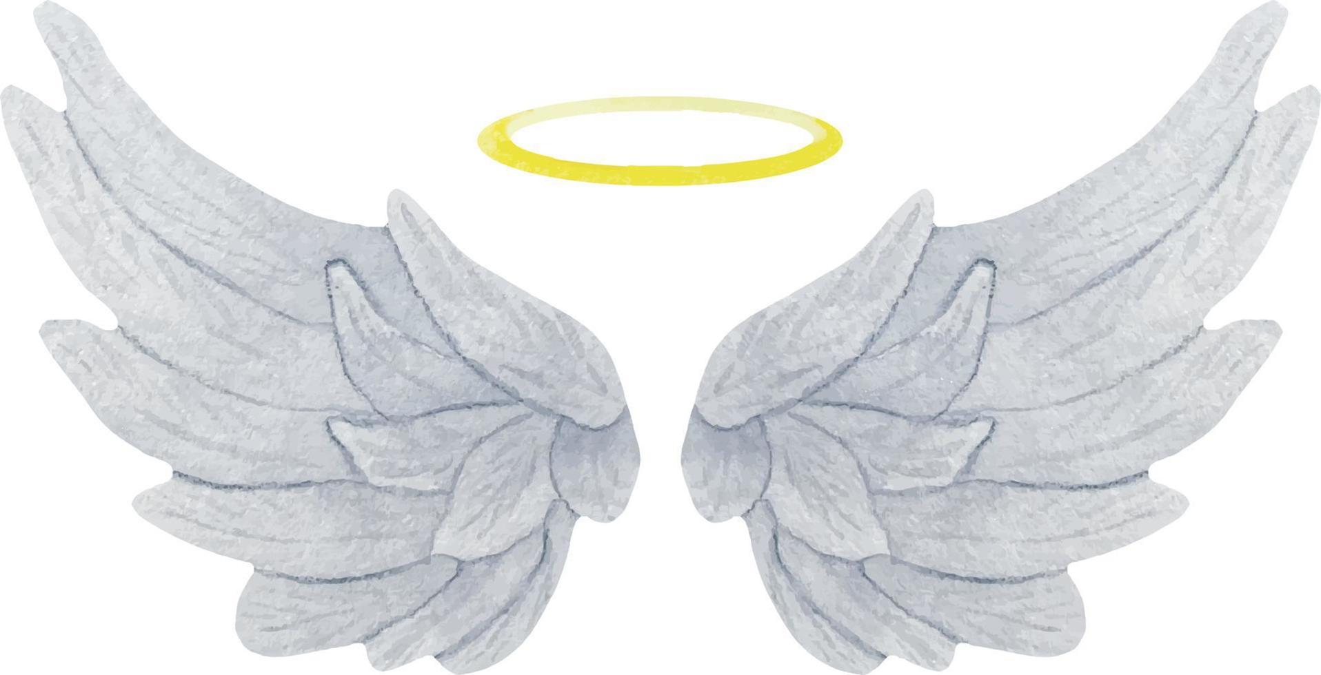 Watercolor grey delicate angel wings with gold halo. Realistic wings illustration. vector