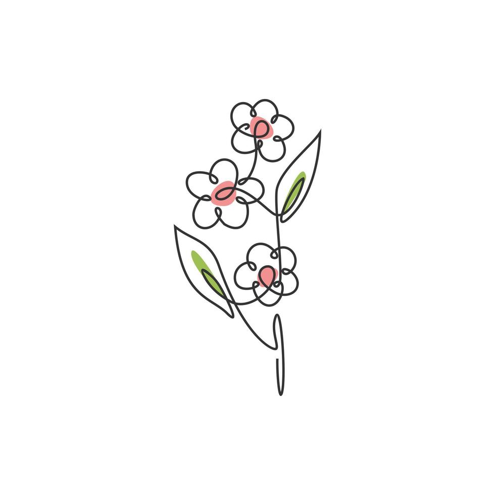 Continuous Line Drawing of Botanical vector