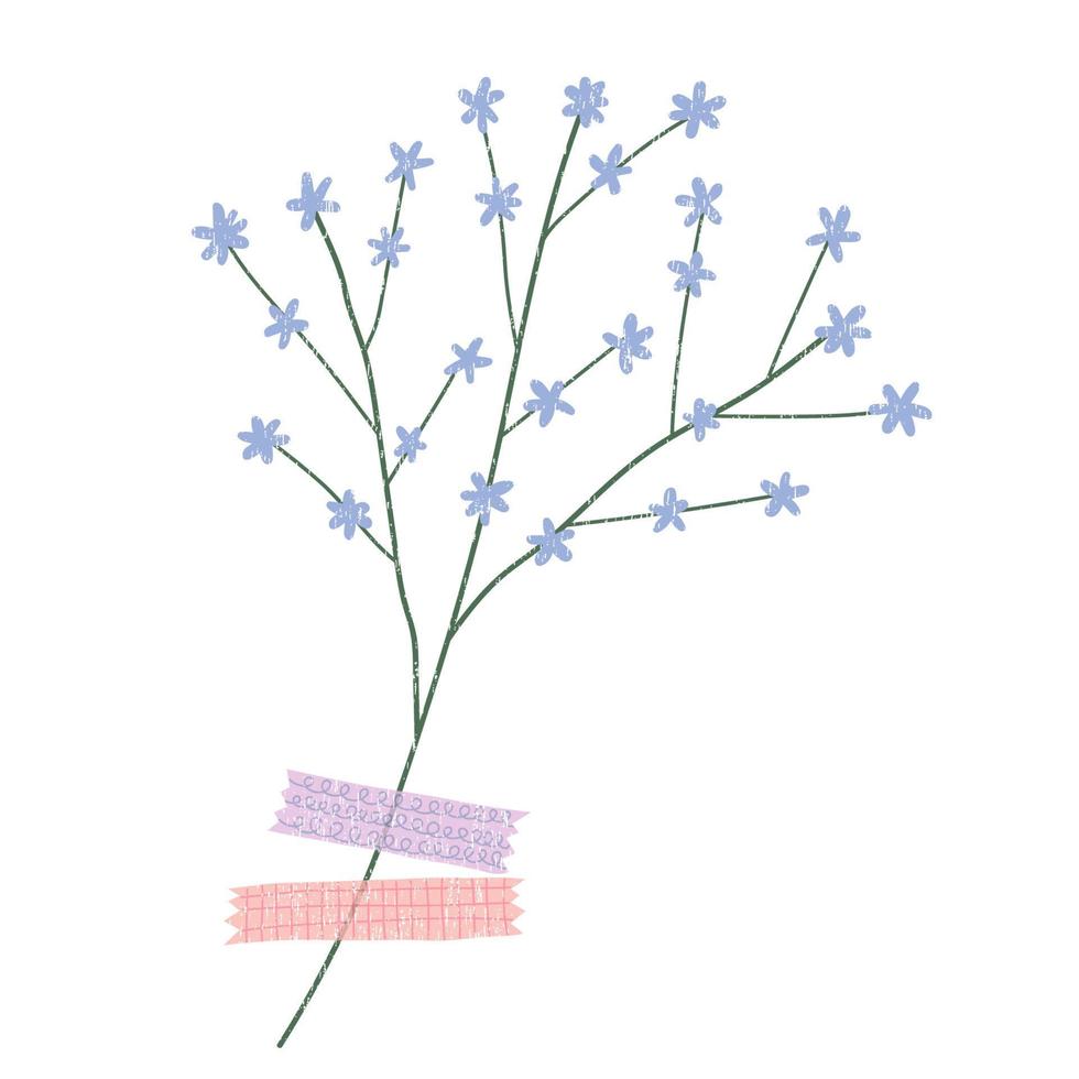 Hand drawn dried flower with washi tape . Vector element isolated on white background