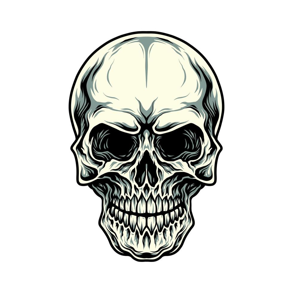 Illustration of skull, hand drawn line with digital color vector