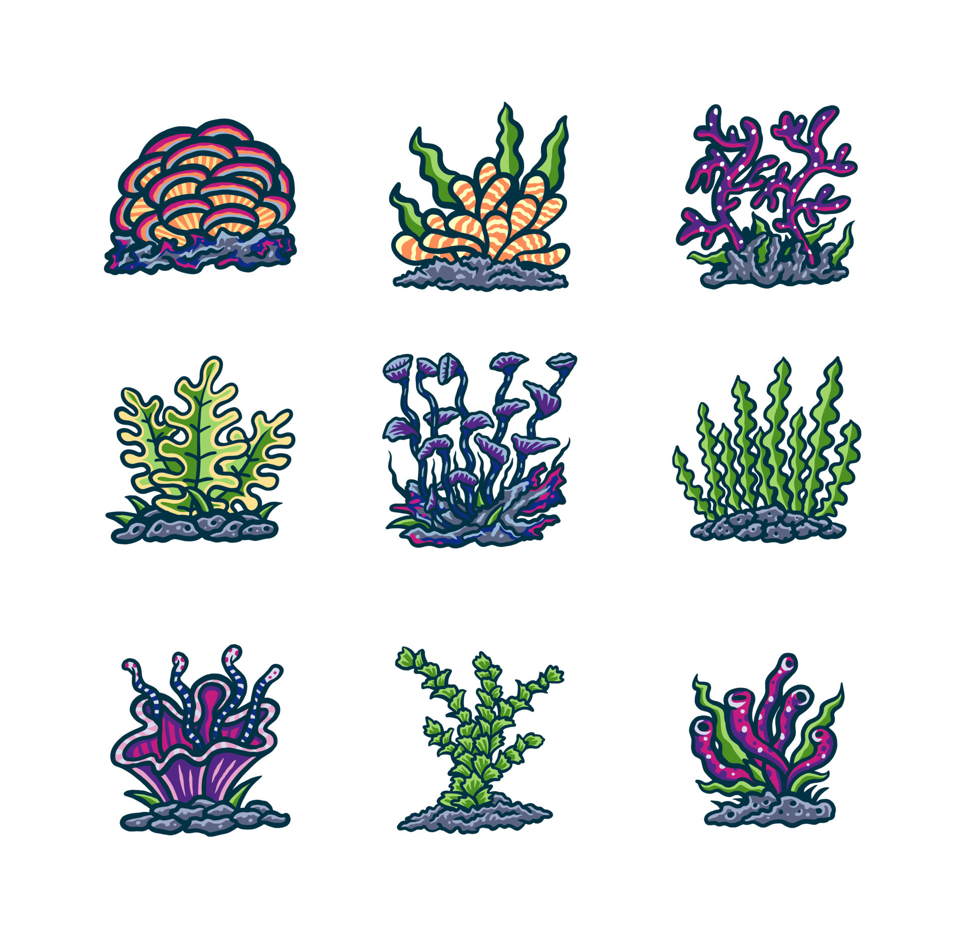 Set of underwater plants, hand drawn line style with digital color
