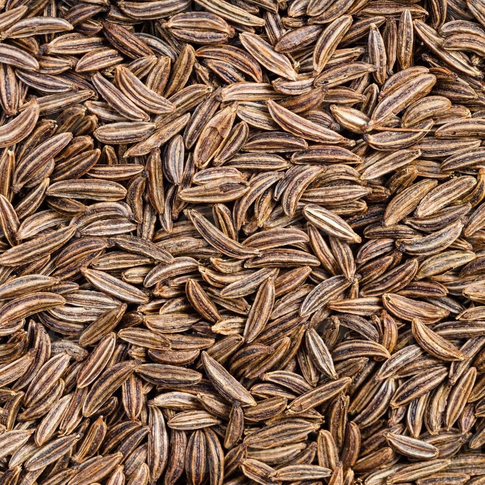 dried caraway seeds close up photo