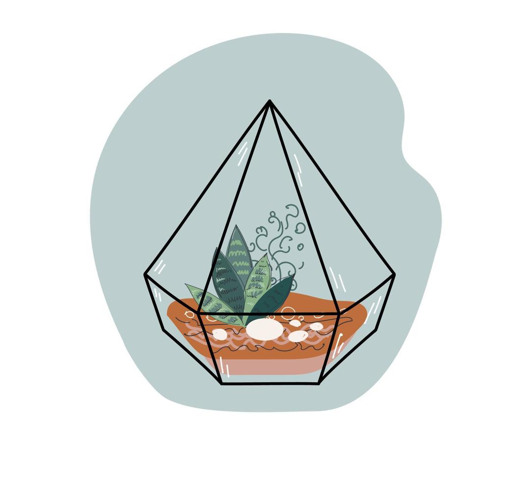 Modern glass florarium, geometric terrarium with succulents and cactus.  japanese decoration, home gardening. Vector doodle illustration.