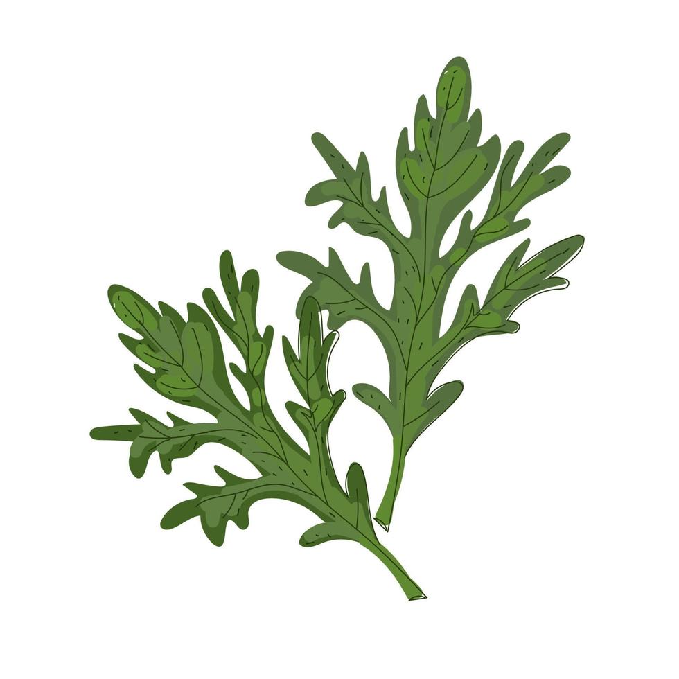 Vector doodle illustration of a simple Japanese herb wormwood leaf. Asian food.