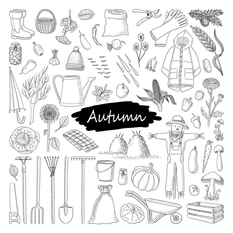 BLACK VECTOR ATTRIBUTES OF AUTUMN ISOLATED ON A WHITE BACKGROUND