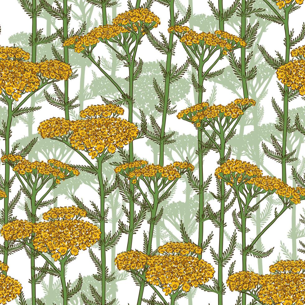 SEAMLESS WHITE VECTOR PATTERN WITH BLOOMING YELLOW YARROW