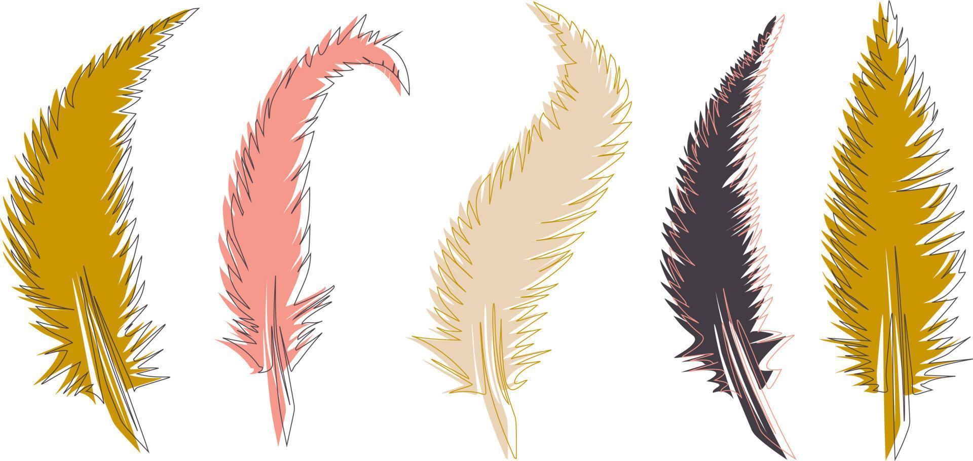 set of feathers vector isolated bird illustration