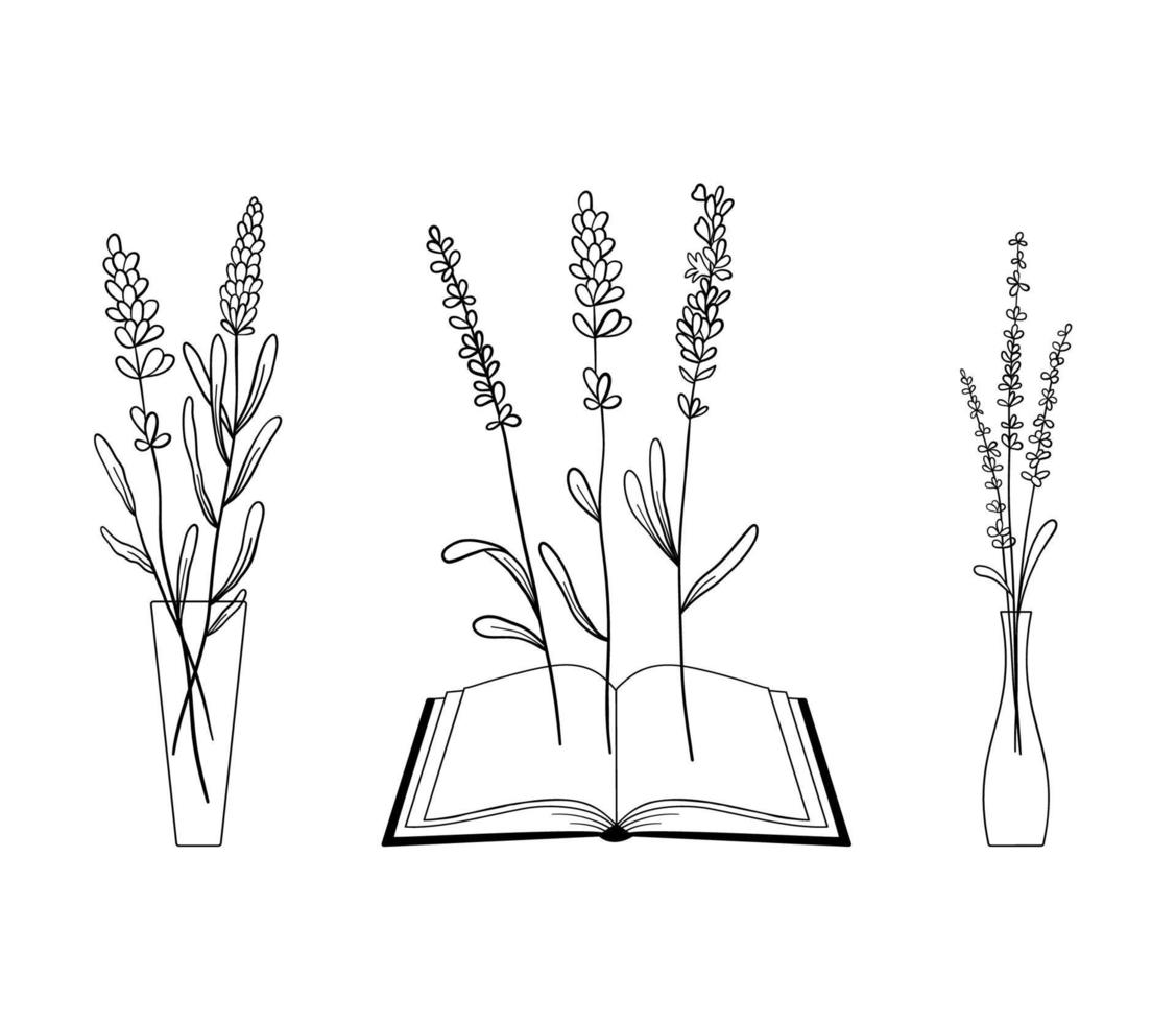 Set of lavender flowers in line style in vases and book. Collection of wildflower plants and bouquet of lavender branches. Vector illustration isolated on white