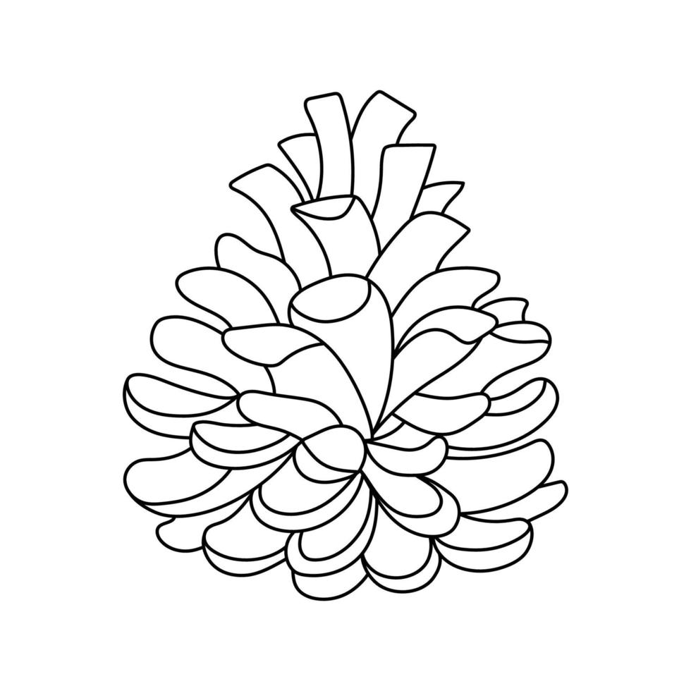 Hand drawn outline pine cone. Vector illustration fir cone isolated on white background for logo, greeting card, poster, holiday decor and coloring book