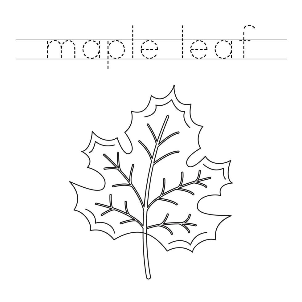 Trace the letters and color maple leaf. Handwriting practice for kids. vector