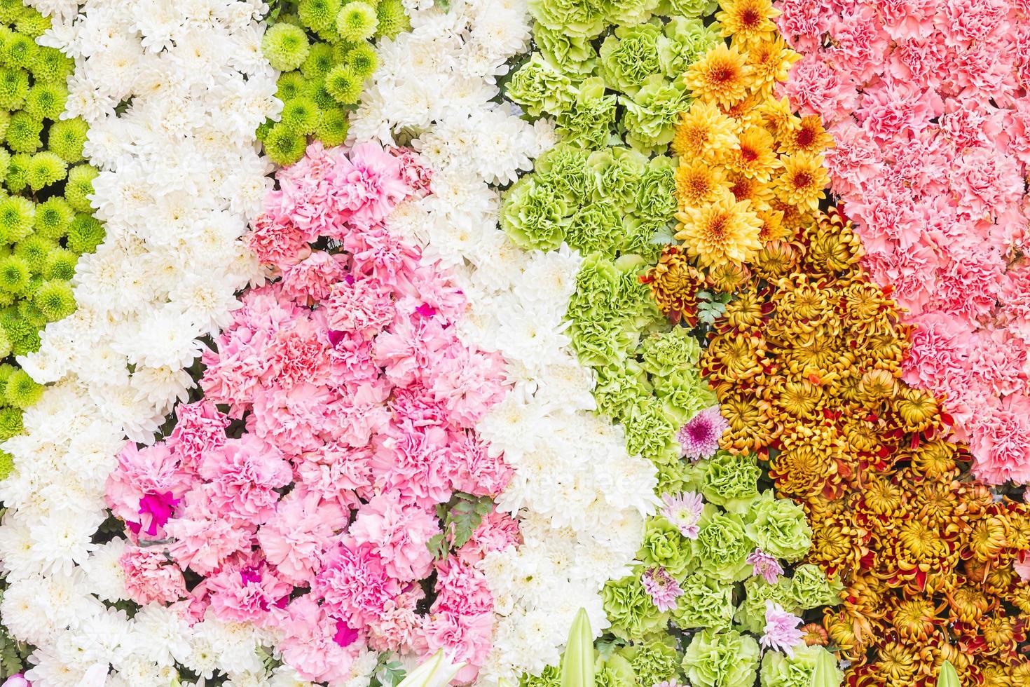 Multi-coloured of flower photo